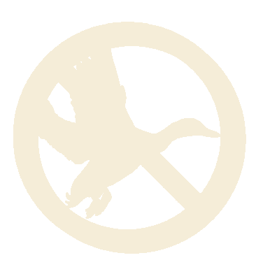 NoFly logo
